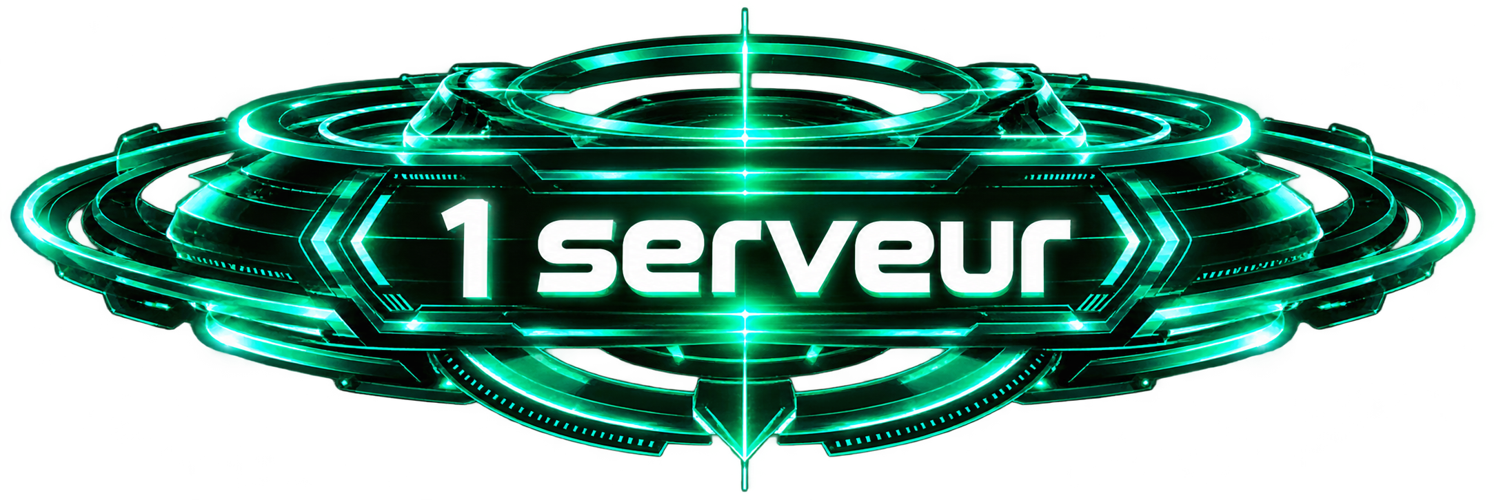 1 serveur